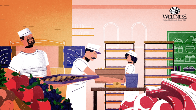 5 Things to Consider When Hiring a 2D Animation Studio