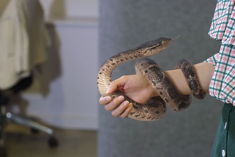 Till We Meet Again 千年来说对不起