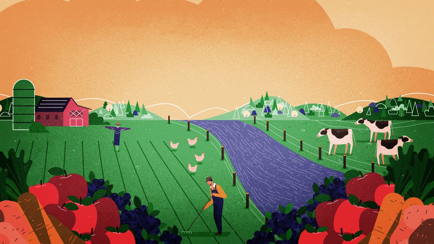 Wellness Brand Video