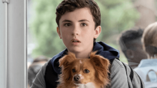 The Healing Powers Of Dude: Visual Representations of Anxiety