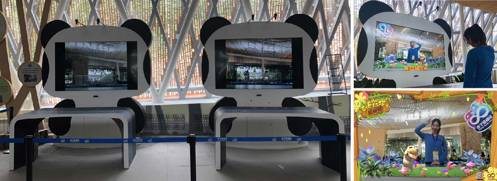 3D-Animation-PandaHouse-PhotoStudio-2