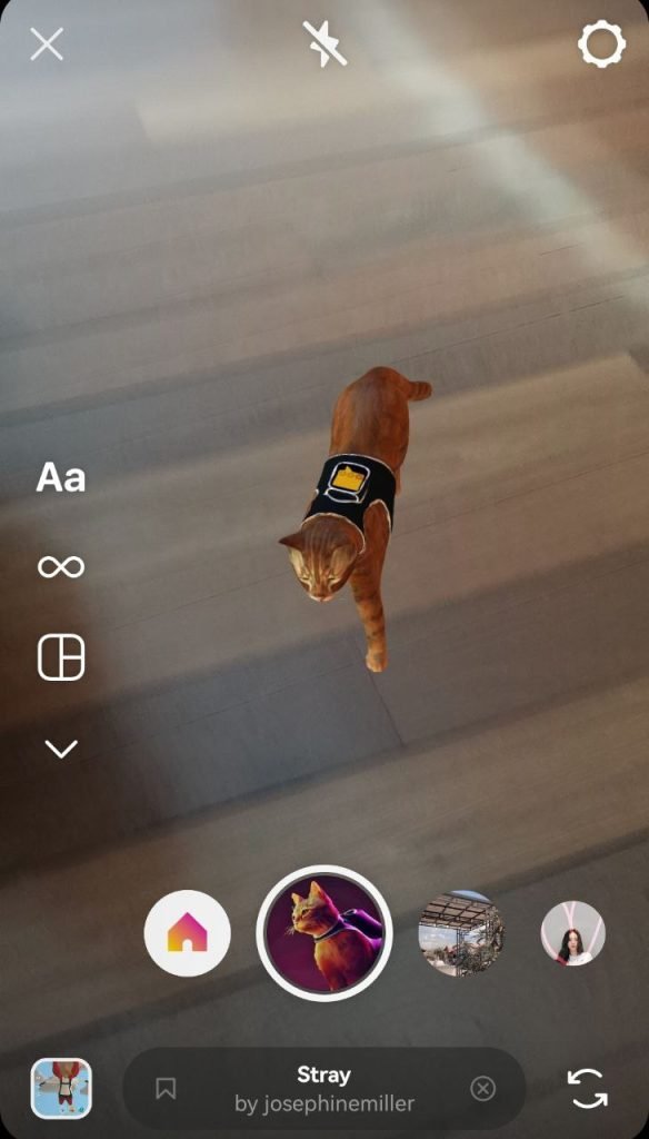 AR interactive media Stray game