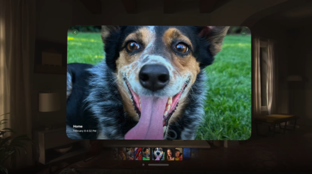 Apple Vision Pro social