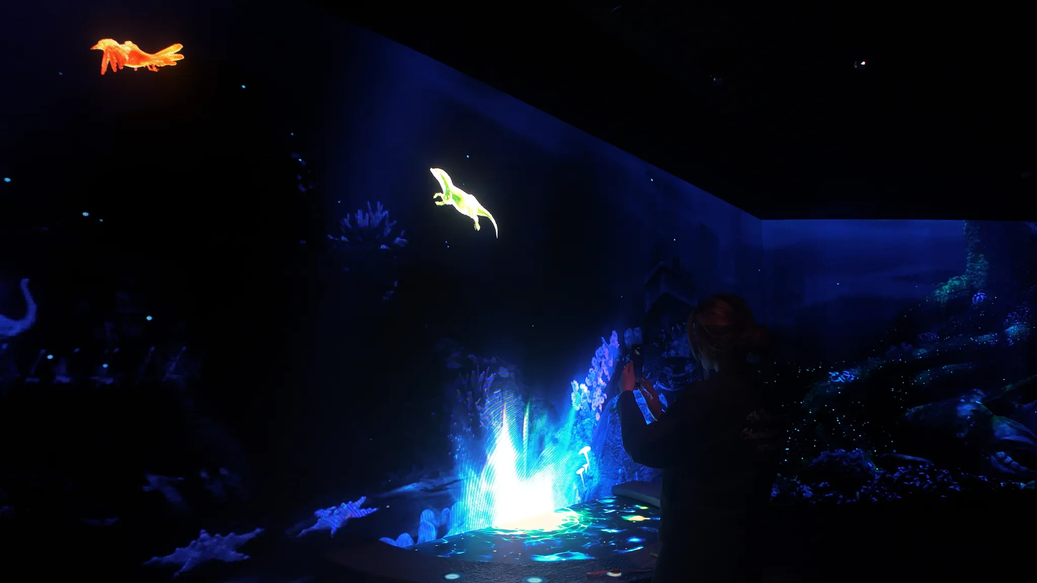 Singapore Odyssea transition zone